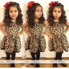L-Nice Leopard Dress