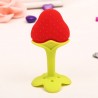 Fruit Teether Silicone Stick