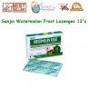 Sanjin Watermelon Frost Lozenges 12s